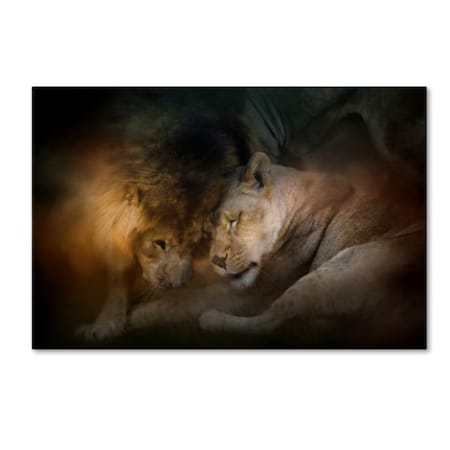 Jai Johnson 'Lion Love' Canvas Art,16x24